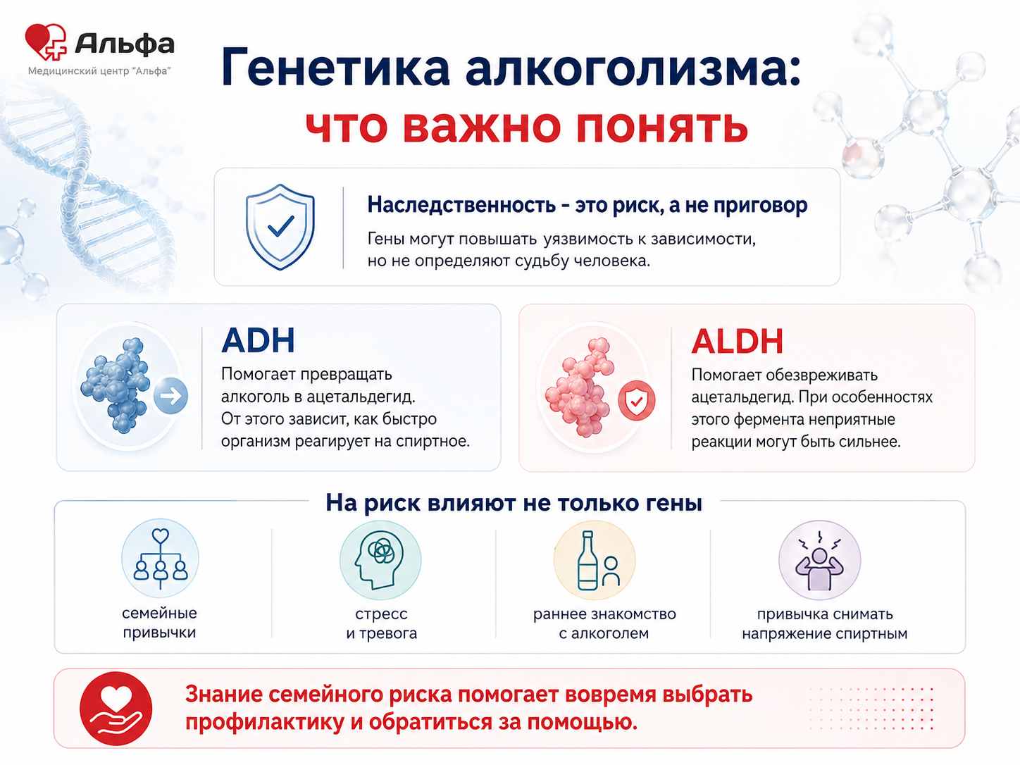 Инфографика о роли генов ADH и ALDH в развитии риска алкогольной зависимости
